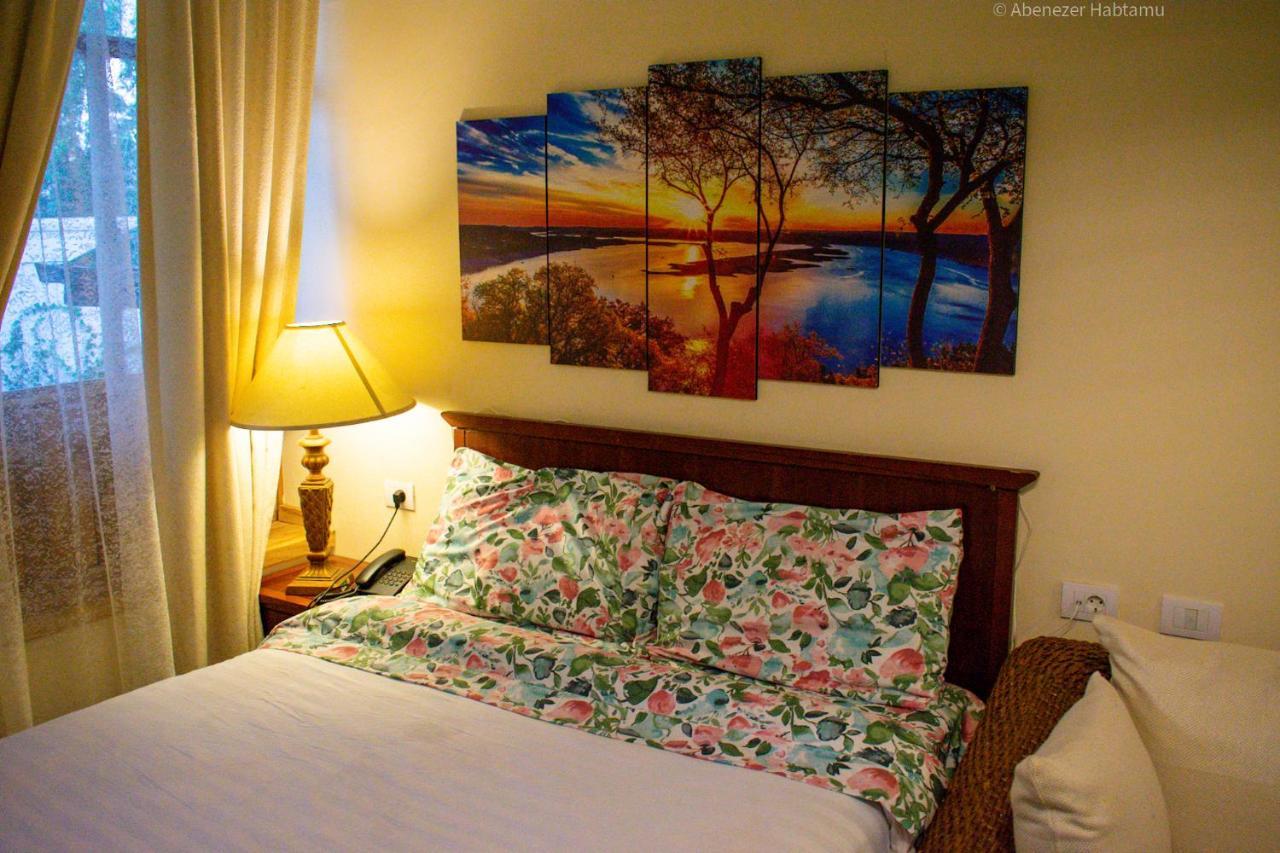 Choice Guest House 2 アジス・アベバ エクステリア 写真